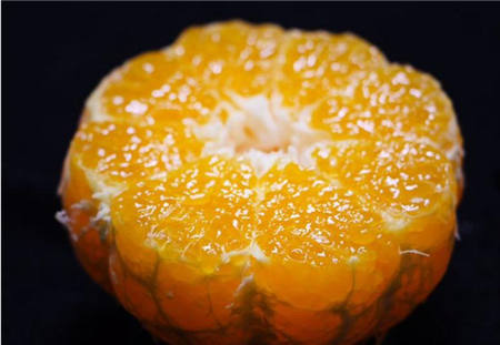 魏柑可能是這個(gè)季節(jié)最好吃的水果，90%的人都不知道