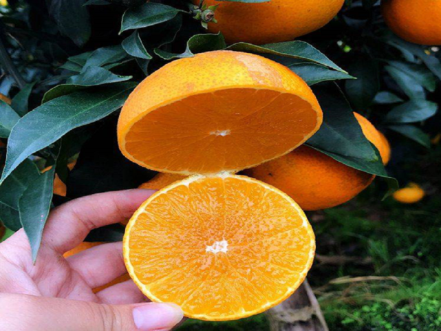 641 (6).png 641 (6).png